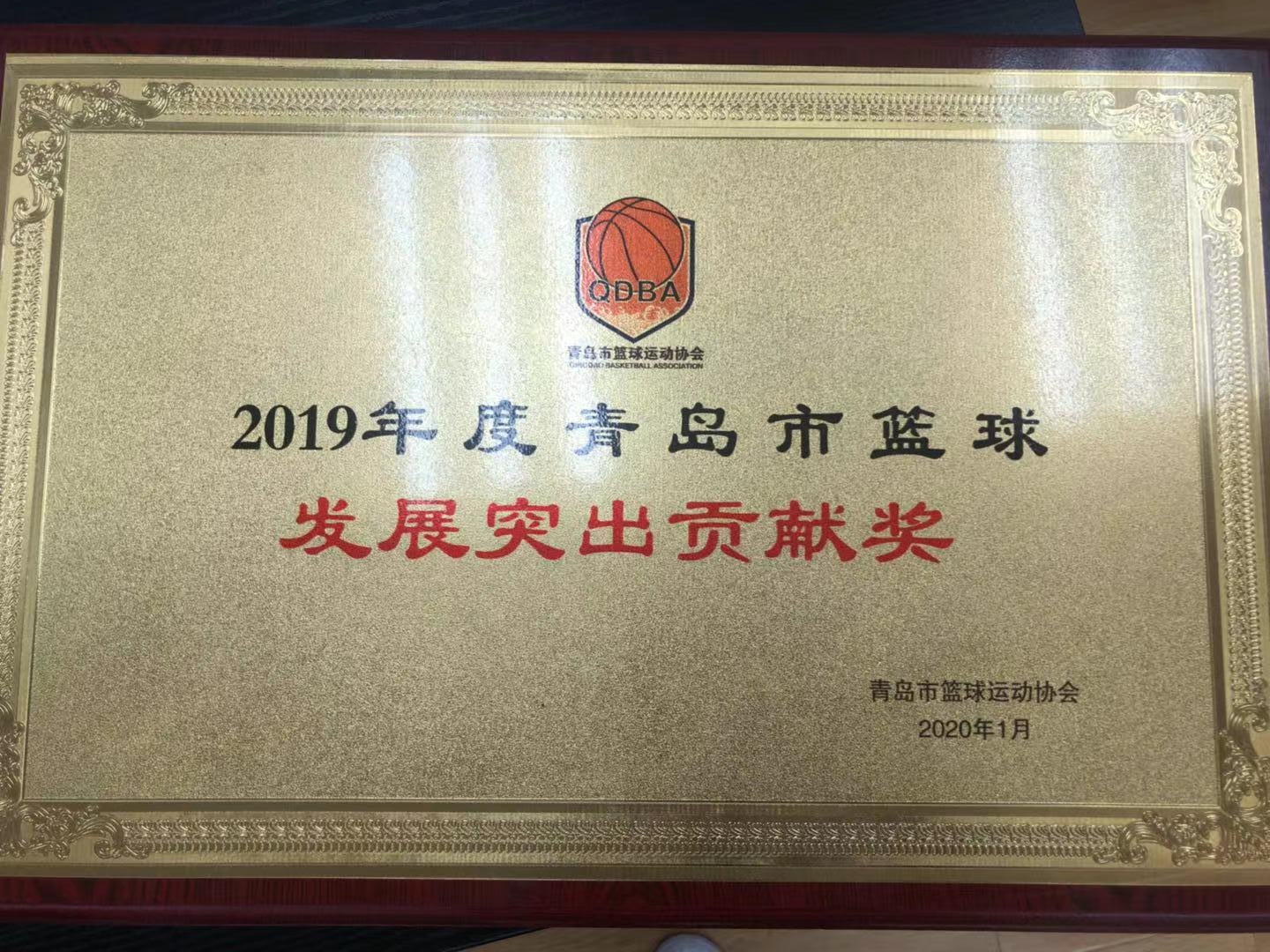 发展突出贡献奖.jpg