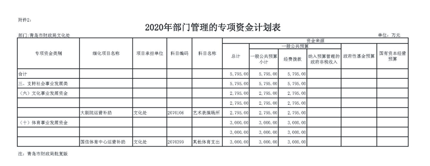 2020年青岛国信大剧院有限公司财政拨款预算(图1)